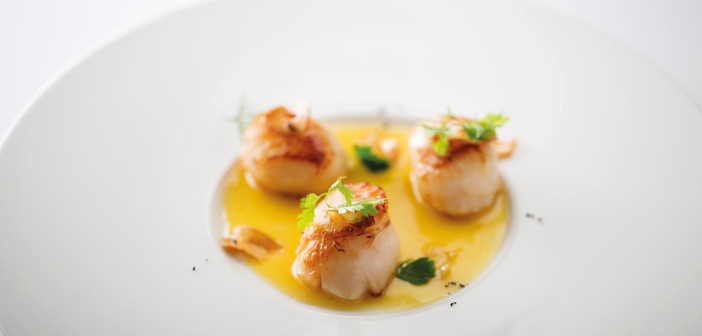 May 2016 - Cookery - Seared Scallops with Lemon Butter Sauce - Issue 251