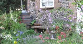 June 2016 - Gardening - Issue 252