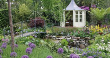 July 2016 - Gardening - Issue 253