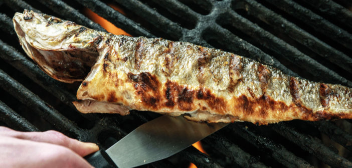 Cookery - BBQ Seabass with Fennel - Issue 265