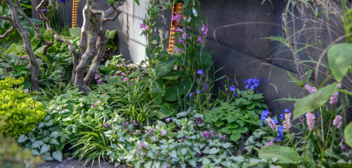 Chelsea Flower Show - August 2017 - Issue 266