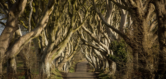 Destination Ireland: Game of Thrones - November 2017 - Issue 269