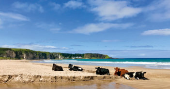 Destination Ireland: Beaches - July 2018 - Issue 277