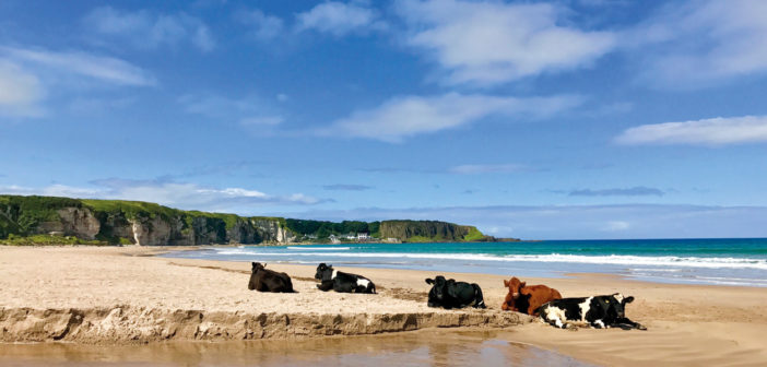 Destination Ireland: Beaches - July 2018 - Issue 277