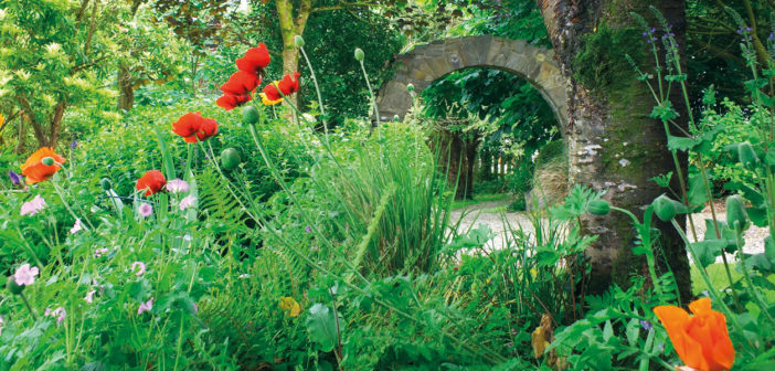 Garden Secrets - August 2018 - Issue 278