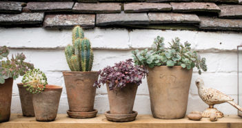 Plant Pots - August 2018 - Issue 278