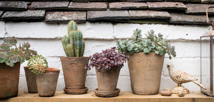 Plant Pots - August 2018 - Issue 278