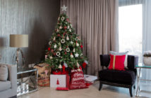 Bangor Home - December 2019 - Issue 294