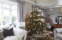 Newbridge Home - December 2019 - Issue 294