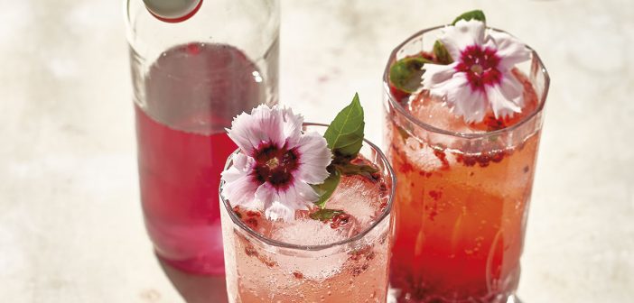 Carnation & Blackberry Cooler