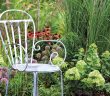 Gardening - July 2023 - Issue 335