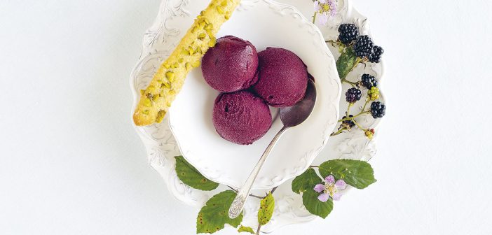 Wild Blackberry & Sweet Geranium Sorbet