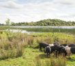 Fermanagh Area Focus - May 2025 - Issue 357