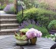 Gardening - June 2025 - Issue 358