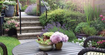 Gardening - June 2025 - Issue 358