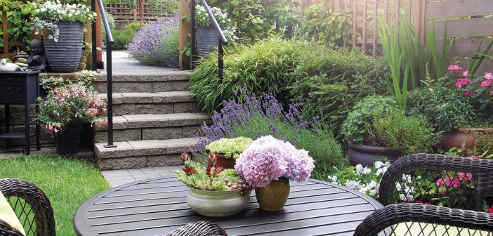 Gardening - June 2025 - Issue 358