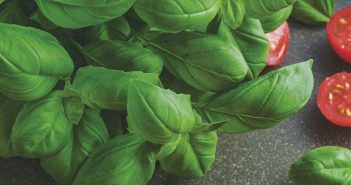 Gardening - July 2025 - Issue 359