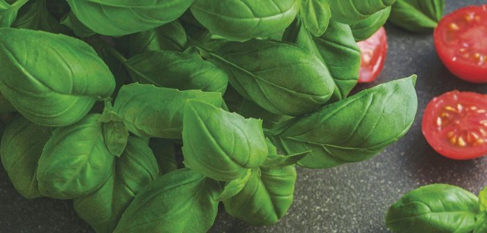 Gardening - July 2025 - Issue 359