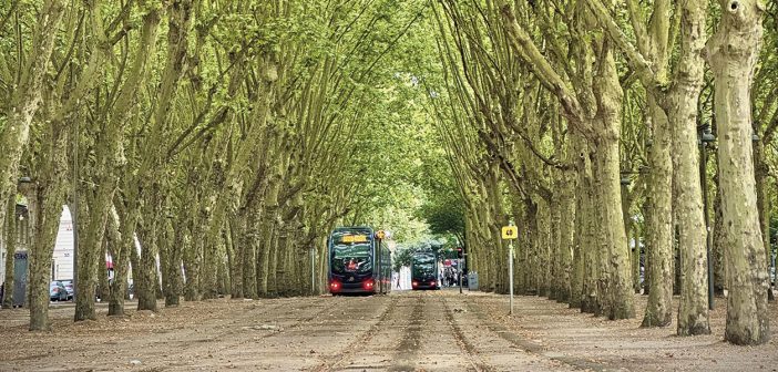 Travel - October 2025 - Issue 362