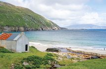 Mayo Area Focus - November 2025 - Issue 363