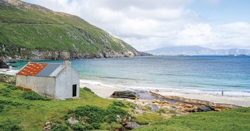 Mayo Area Focus - November 2025 - Issue 363