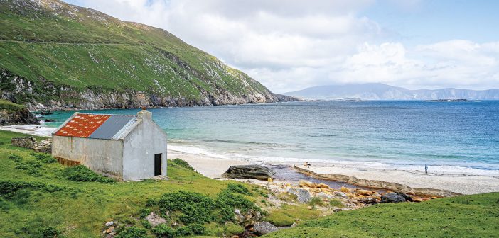 Mayo Area Focus - November 2025 - Issue 363