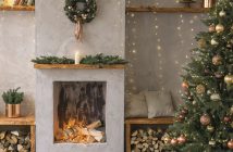 Gardening – December 2025 – Issue 364 Gardening - December 2025 - Issue 364