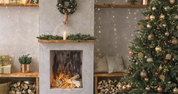 Gardening – December 2025 – Issue 364 Gardening - December 2025 - Issue 364