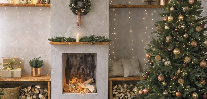 Gardening – December 2025 – Issue 364 Gardening - December 2025 - Issue 364