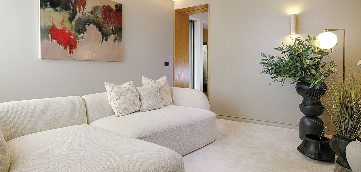 Stillorgan Home 2 - February 2026 - Issue 366