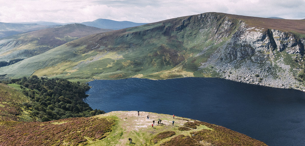 Wicklow Area Focus - April 2026 - Issue 368