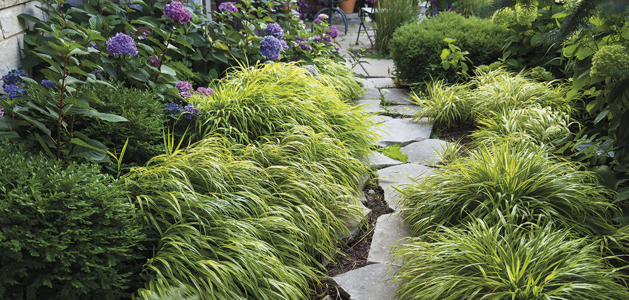 Gardening - April 2026 - Issue 368