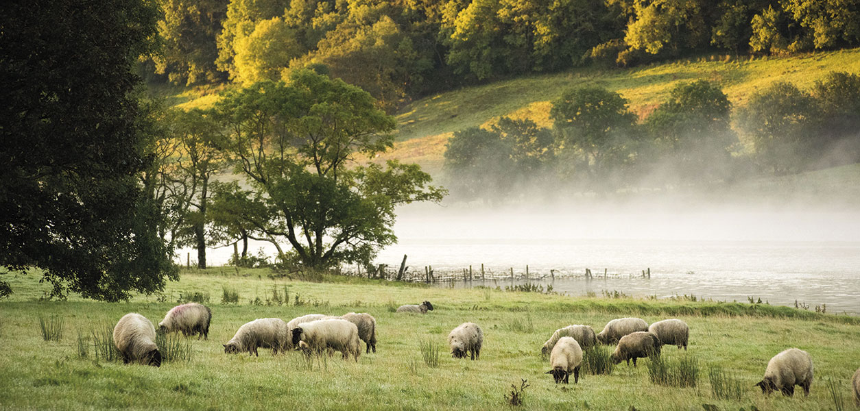 Leitrim Area Focus - May 2026 - Issue 369