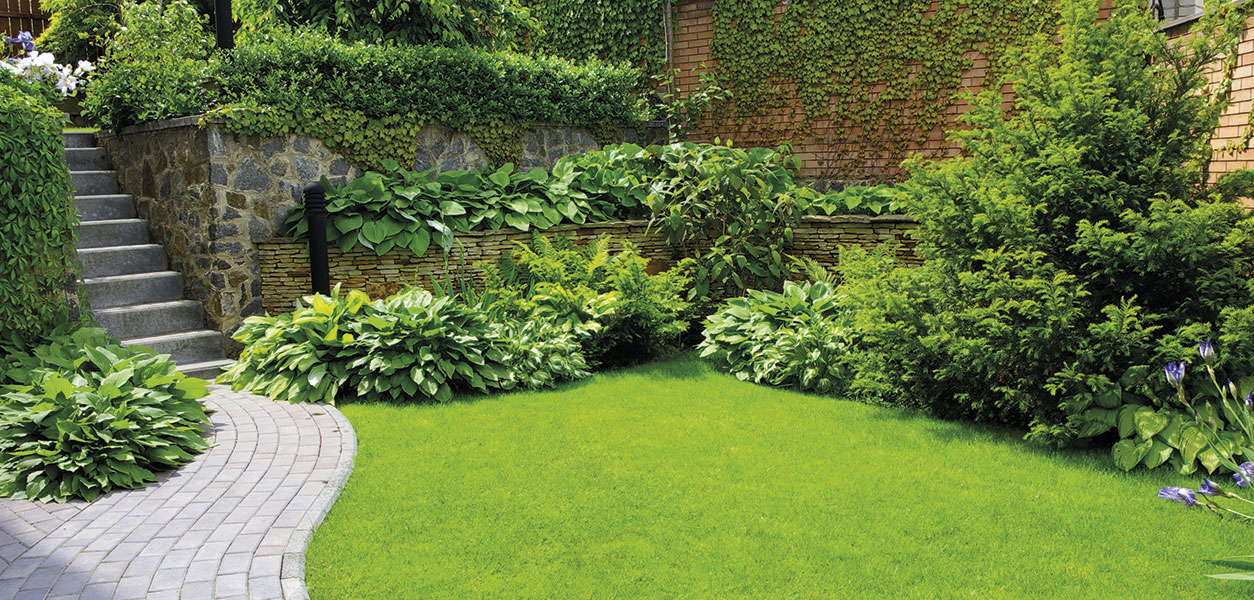 Gardening - August 2026 - Issue 372