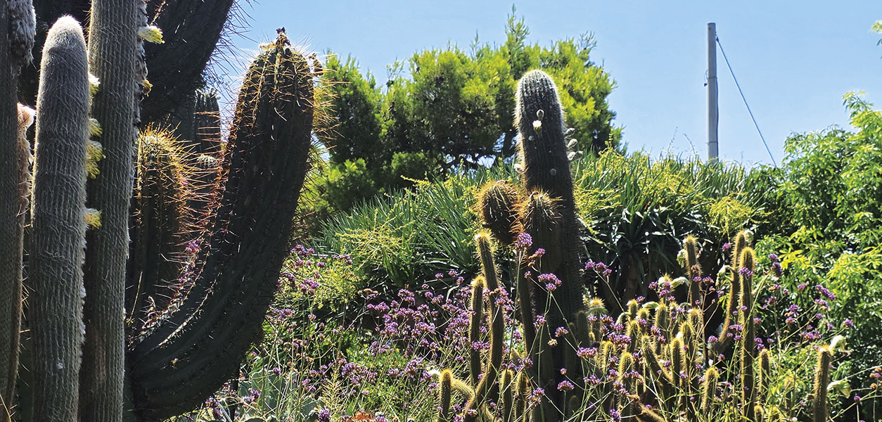 Gardening - October 2026 - Issue 374